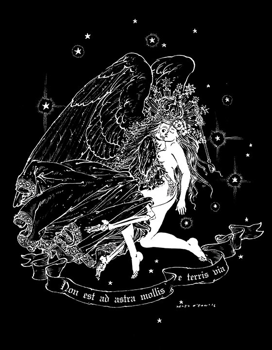 Non est ad astra mollis e terris via Organic Hemp Tshirt Etsy