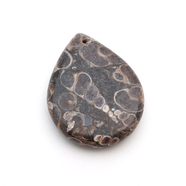 Turritella agate pendant, fossil large flat teardrop, front drilled black and white stone, 40mm