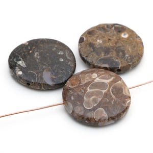3 pcs large flat round turritella agate beads, black, brown, and white fossil shell semiprecious stone lentils, average size 27mm