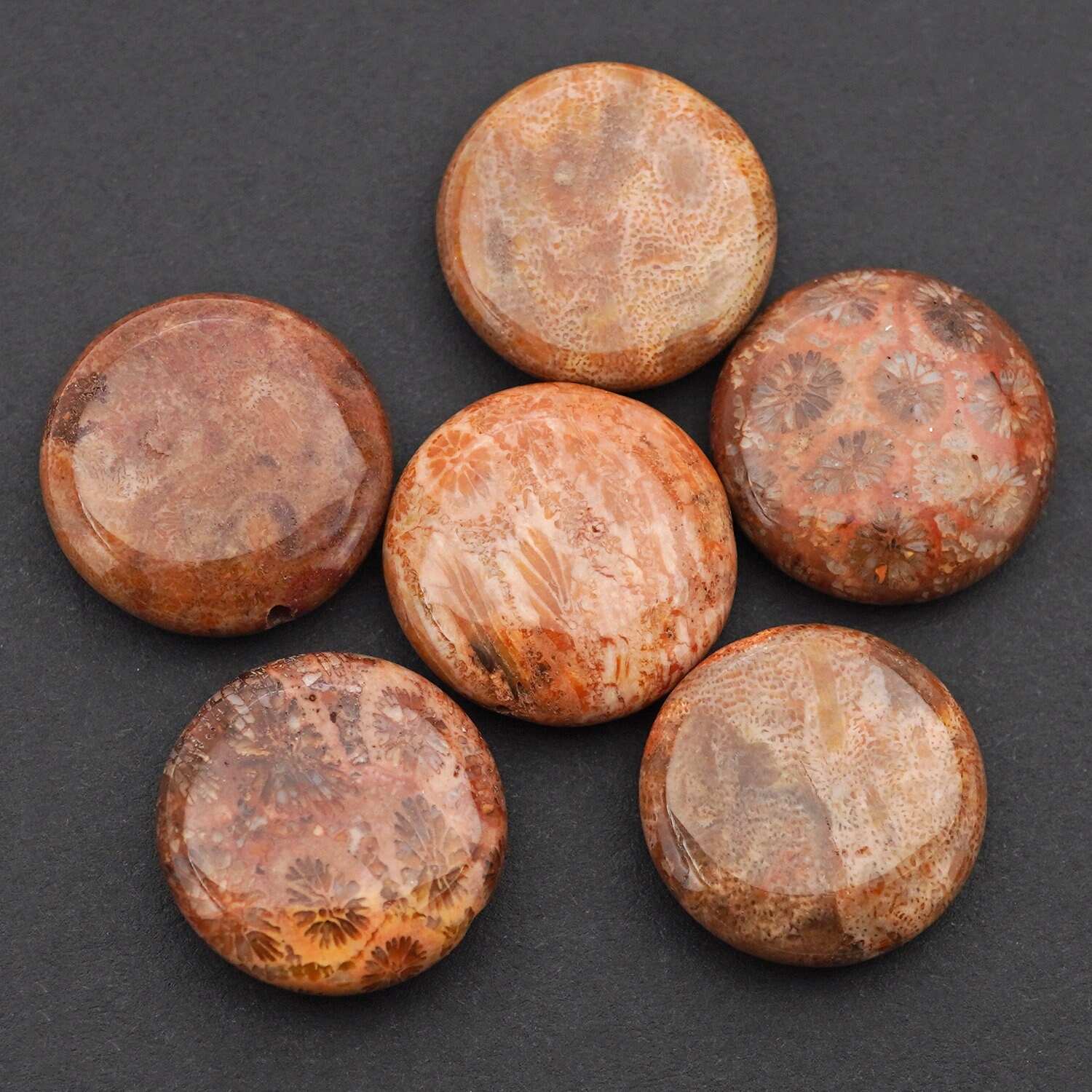 6 pcs flat round fossil coral beads rust red disk Etsy