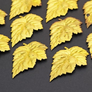 10 pcs bright brass leaf stampings, vintage brass, detailed, 43mm length