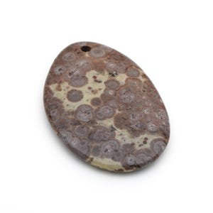 May include: Oval-shaped pendant with a hole at the top. The stone features a mottled pattern of brown, tan, and purple hues. The pendant is smooth and polished, with a natural, organic appearance.