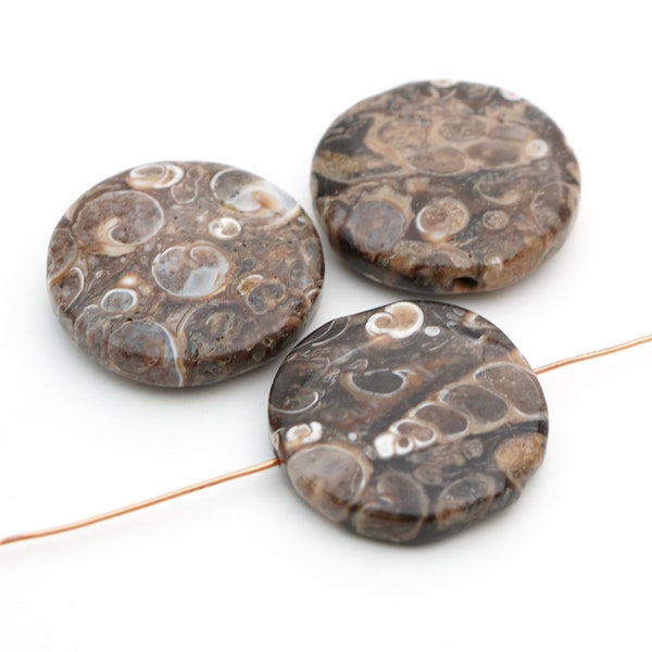 3 pcs large flat round turritella agate beads, black, brown, and white fossil shell semiprecious stone lentils, average length 25mm