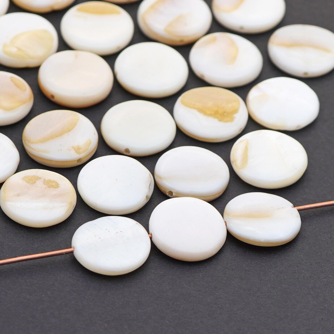 27 Pcs Flat Round Shell Beads, Polished Coin Shape, White and Brown ...
