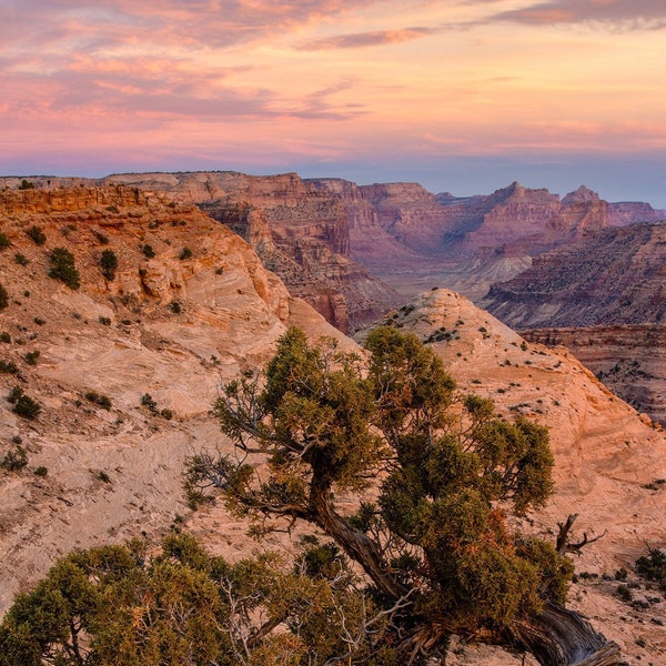 Little Grand Canyon Overlook Sunset - San Rafael, Utah - Photograph Print Poster Picture Wall Photography Art Artist Images Camera Landscape