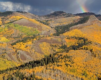 Big Cottonwood Canyon Fall Colors Photography Utah Landscape Art - Archival Prints, Canvas, Metal - bp0133