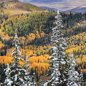 Park City Fall Landscape Photo: Wasatch Mountains Art Print