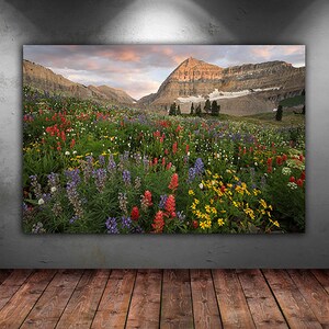 The image is a large framed print depicting a vibrant mountain landscape with a colorful meadow filled with various flowers.