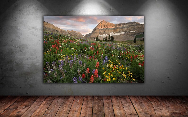 The image is a large framed print depicting a vibrant mountain landscape with a colorful meadow filled with various flowers.