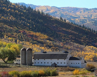 McPolin Barn in Autumn - Park City, Utah - Professional Photograph, Decor, Print bp0083