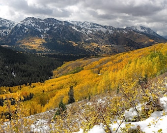 Wasatch Mountains Fall Photography Print: Big Cottonwood Canyon Landscape - Archival Prints, Canvas, Metal - bp0187