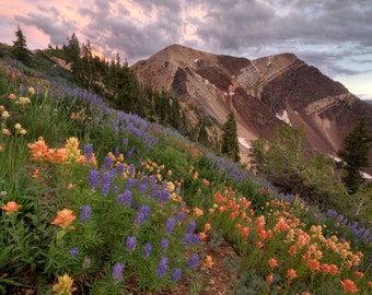 Snowbird Twin Peaks Sunset: Utah Landscape Photography Art Print