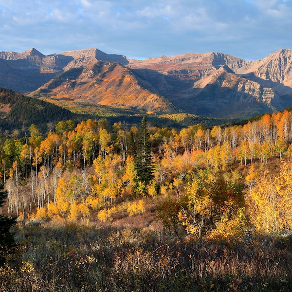 Timpanogos Autumn Sunrise - Wasatch Mountains, Utah - Photograph Print Poster Picture Wall Photography Art Artist Images Camera Landscape