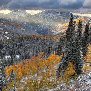 a breathtaking mountain landscape with snow-capped peaks, a dense forest of evergreen trees, and vibrant fall colors of orange and yellow foliage.