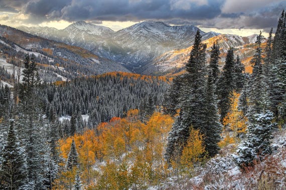 Big Cottonwood Photograph: Utah Fall Color Landscape Print, Aspen Road, Early Snow - Archival Prints, Canvas, Metal - bp0131