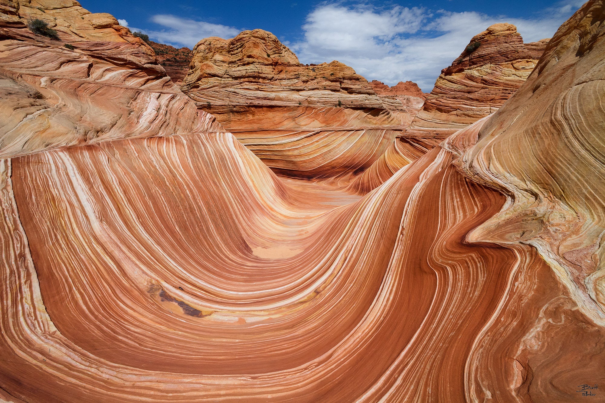 Lines of Zahn the Wave Vermilion Cliffs National Monument, Utah