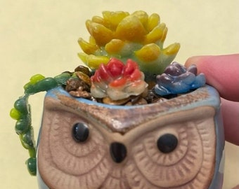 Fused Glass Succulent Garden in Owl Pot