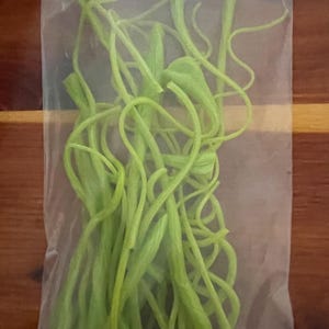 May include: A clear plastic bag containing a bundle of light green glass stringers. The bag has a label with the text "Vitrigraph by Glassyboop-COE 90" and "Betty L White". The stringers appear to be custom organic glass.
