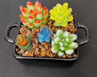 Fused Glass Succulent Garden