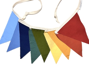 Gender neutral rainbow pennant bunting, fabric birthday banner, playroom decor, 9 triangle flags, solid shades, standard or mini available