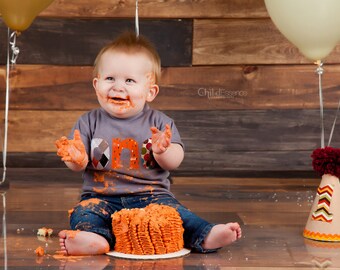 Boys ONE shirt, 1st Birthday Shirt Boy, Fall Birthday Shirt - gray brown orange aqua red green, 12-18 month short sleeve