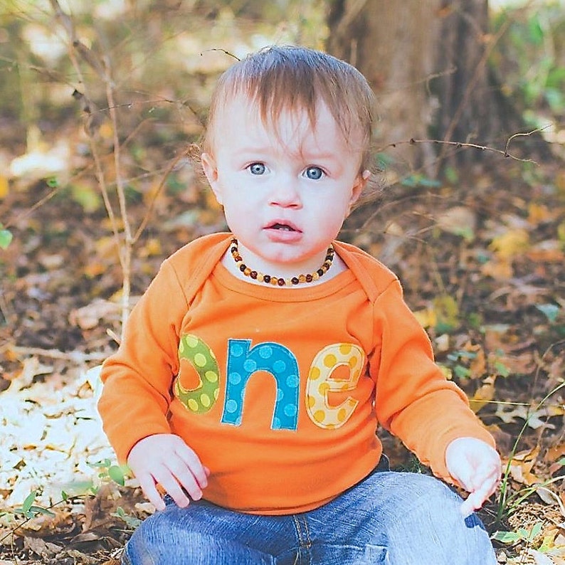 Boys ONE Shirt for First Birthday 1218 Month Long Sleeve Etsy
