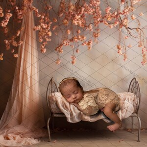 Fine Art Digital Backdrop Newborn Photography Composite Pink Boho Cradle Nursery Floral Background