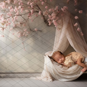 Fine Art Digital Backdrop Newborn Photography Composite Pink Boho Cradle Nursery Floral Background