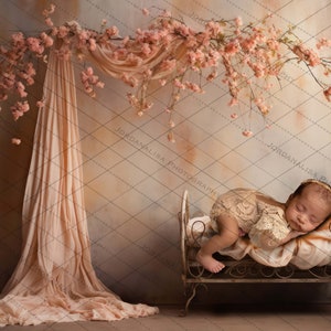 Fine Art Digital Backdrop Newborn Photography Composite Pink Boho Cradle Nursery Floral Background
