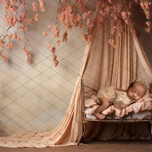 Newborn Digital Backdrop Photography Composite Pink Boho Cradle Nursery Sleeping Floral Background