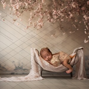 Fine Art Digital Backdrop Newborn Photography Composite Pink Boho Cradle Nursery Floral Background