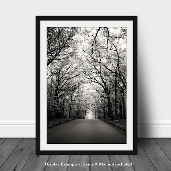 Black and White Photography Print - Gettysburg Pennsylvania National Military Park - US National Park Wall Print - Tree Wall Art