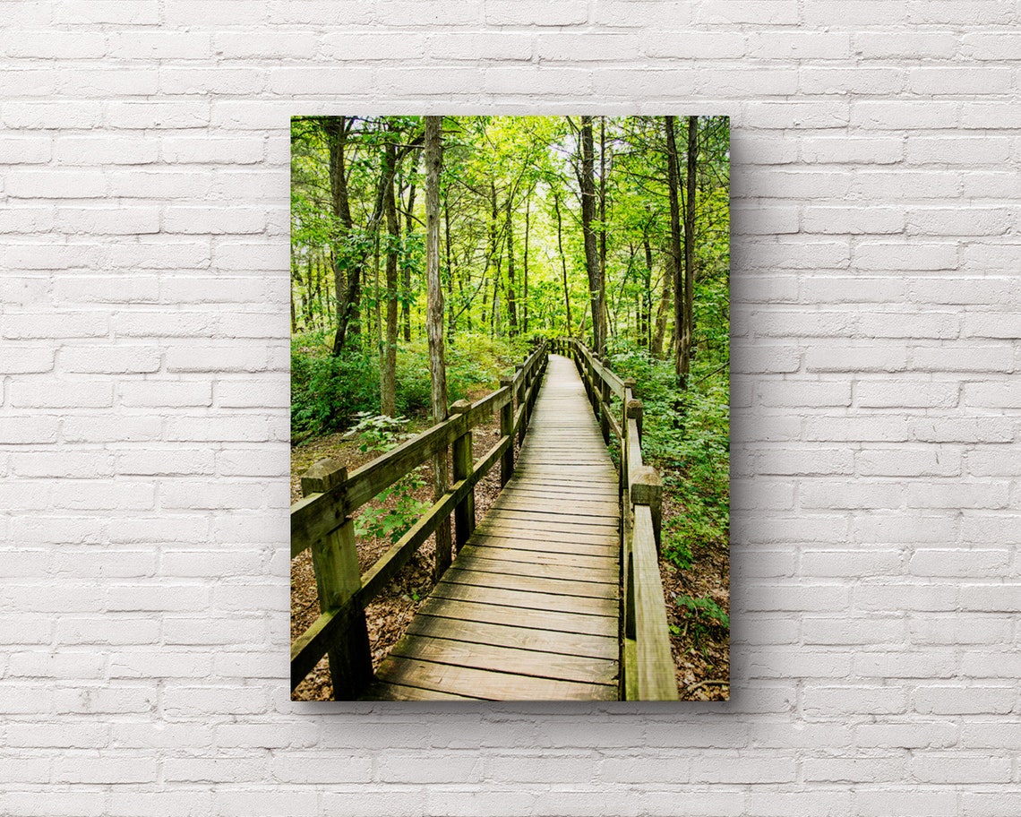 Woodland Tree Metal Wall Art Nature Tree Prints Wooded Etsy