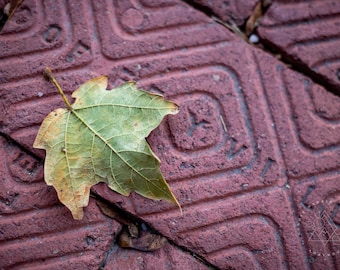 Fall Leaf on Bricks in Weston Missouri Photography Print - Rustic Nature Country Style Wall Art Print