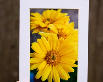 Yellow Flower Photography Print - Botanical Wall Art - Spring Decor - Nature Prints - Mothers Day Gift - 5x7 Matted Photo