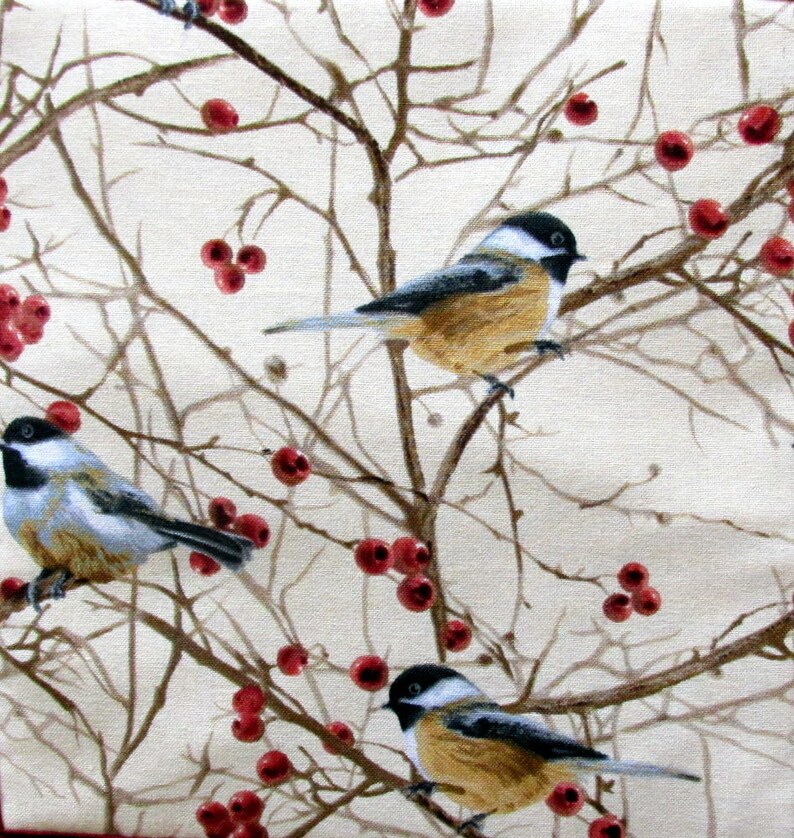 Chickadee Potholders Bird Kitchen Decor Chickadee Jar Etsy