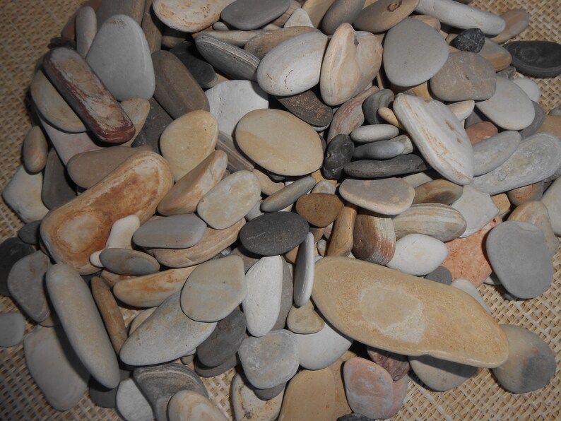 Pebble Artbulk 2 Pounds Pebblesrock Artpebble Art Etsy