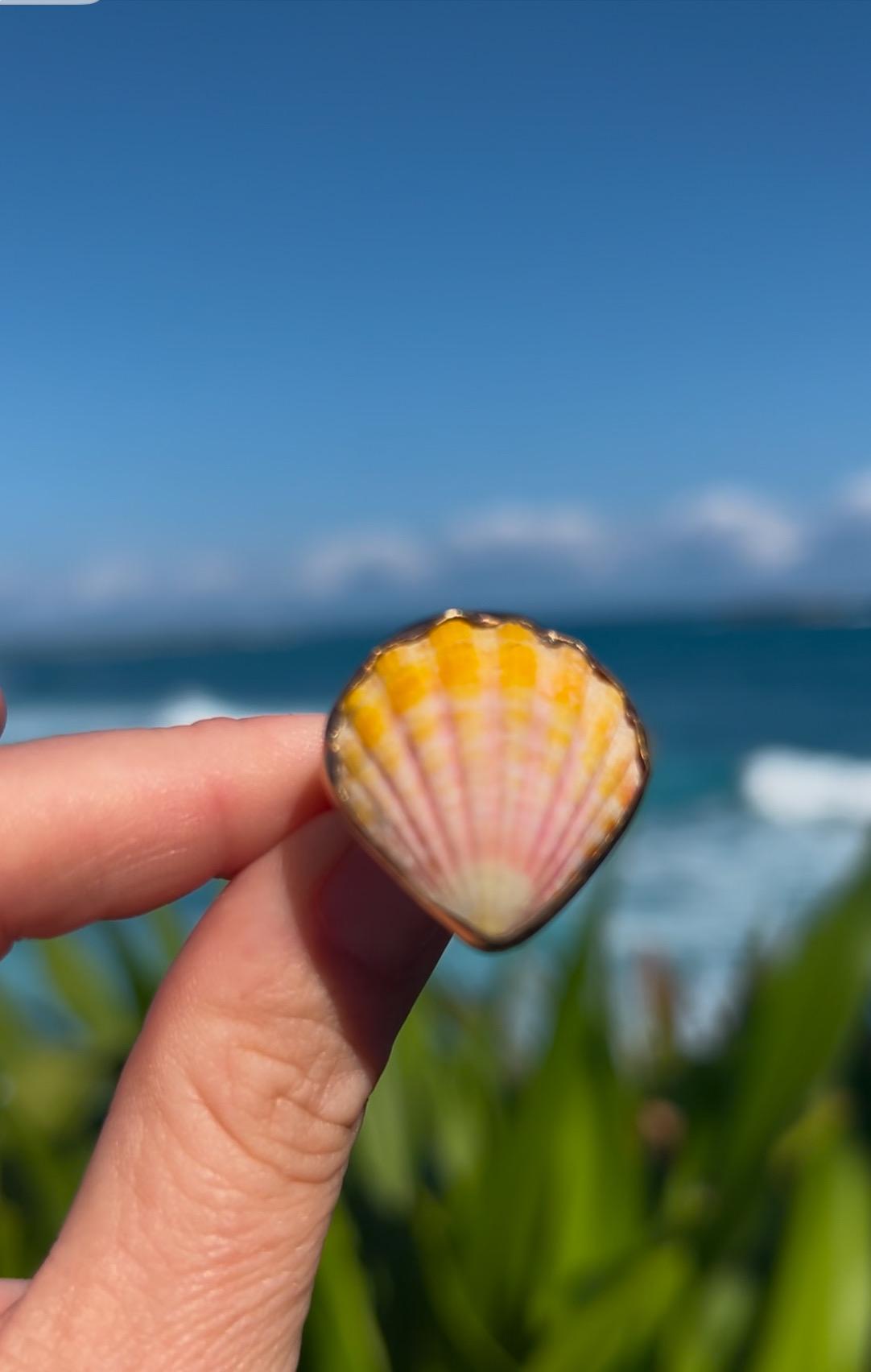 Beautiful Handcrafted Gold Filled Sunrise Shell Ring - Etsy
