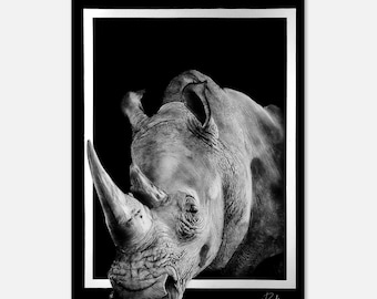 May include: A black and white drawing of a rhinoceros's head and horn, framed in a white border against a black background.