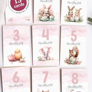 Cartes d'étapes mensuelles numériques imprimables pour bébé fille