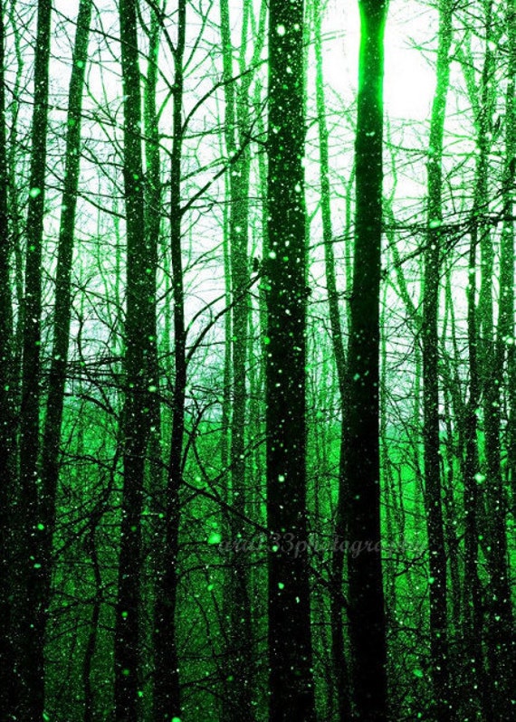 Emerald Green Forest Wall Art Nature Winter Holiday Snow | Etsy