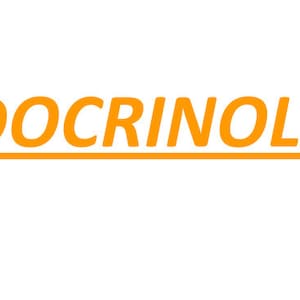 Endocrinology Revision Notes - Etsy