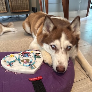 May include: A brown and white Siberian Husky dog with blue eyes rests near a heart-shaped marble jewelry display. The display holds several bracelets with blue and yellow beads and character charms. A purple cushion with a "PEACE YOGA" tag is in the foreground.