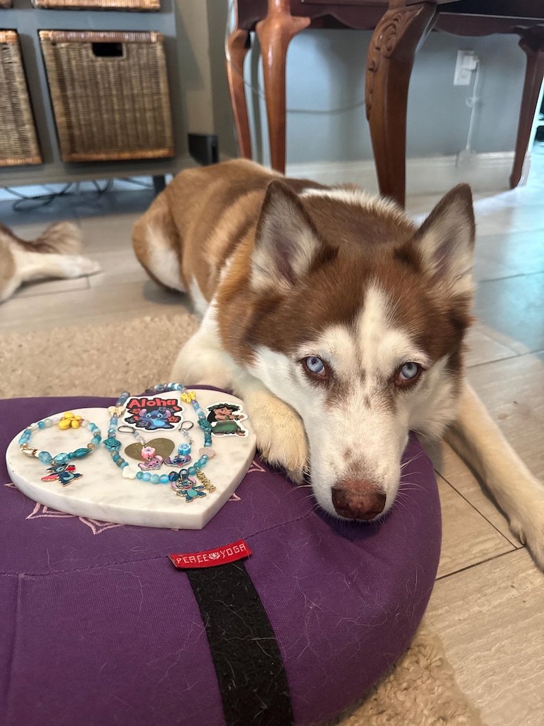 May include: A brown and white Siberian Husky dog with blue eyes rests near a heart-shaped marble jewelry display. The display holds several bracelets with blue and yellow beads and character charms. A purple cushion with a "PEACE YOGA" tag is in the foreground.