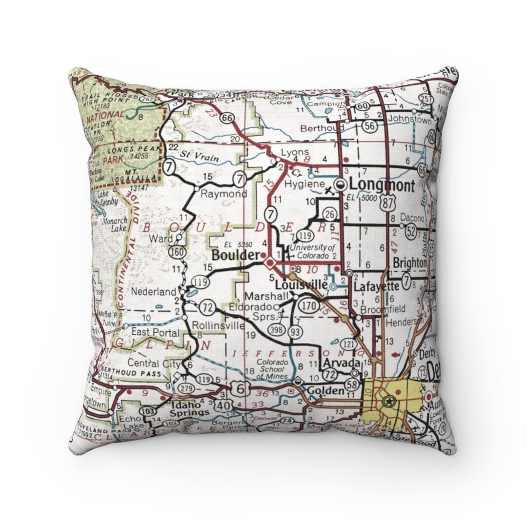 Snug Throw Pillow Boulder / 20 x 20