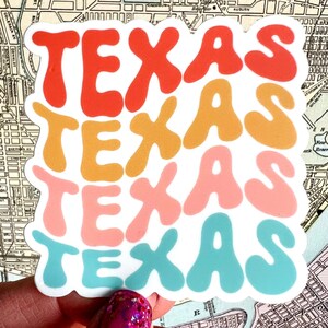 Texas Vinyl Sticker - Texas Water Bottle Sticker - Texas Laptop Sticker - Texas Suitcase Decal - Texas Native - Texas Sticker - Texas Gift
