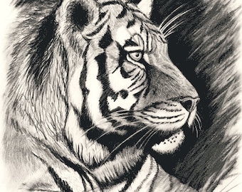 Tiger Giclee Art Print