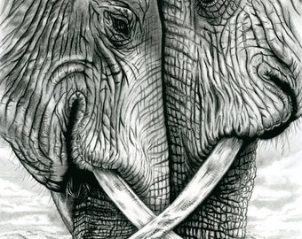 Elephants Art, Drawing, Giclée Art Print from original Charcoal & Pencil. "Do Not Disturb"