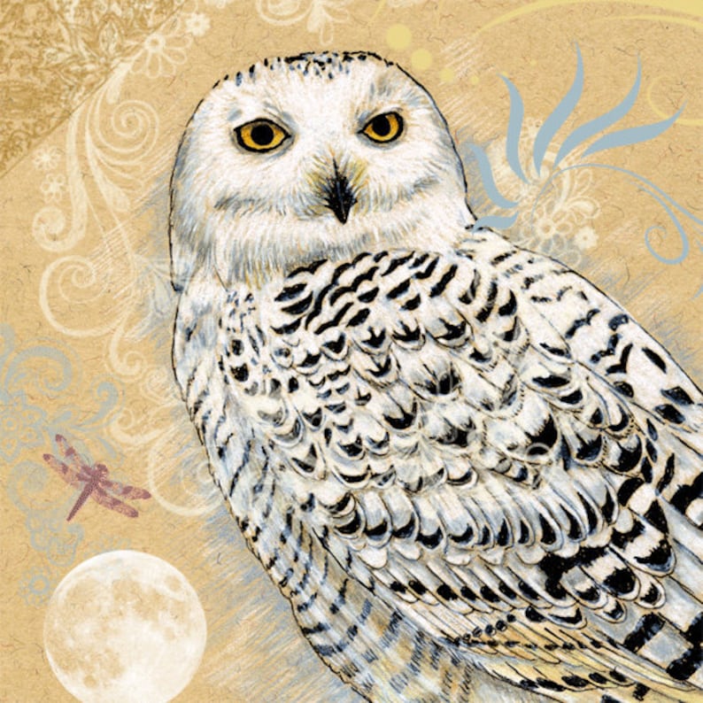snowy-owl-bird-birthday-greeting-card-owls-etsy