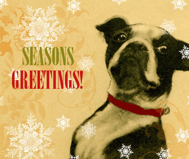 Boston Terrier Christmas Card Season s Greetings 5 X 7 Etsy